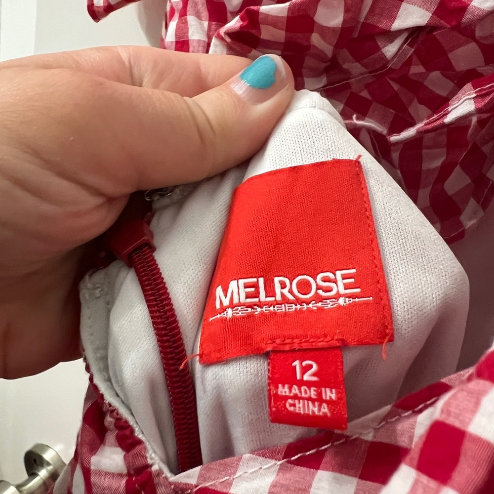 Red Gingham Dress with Lace Accents - Picture 5 of 5